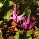 부자목장2 이미지