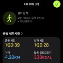 (주)핀브레드 | 브레드 / 브루드 커피 - 별빛블렌드 먹어본 솔직 후기 (다이어터 맛잘알 메뉴 공유!!) feat.일상기록