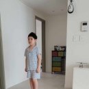 태권도담 이미지