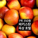 미소여인숙 | 1박에 350원?! 파키스탄 최저가 &#39;옥상호텔&#39; 카라반세라이, 5성급보다 따뜻한 환대 (Feat. 실크로드의 유산)