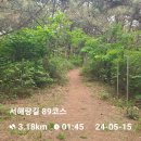 🚶‍♂️🚶‍♀️24/05/15일(수) 서해랑길 제19회 "서해랑길 89-2구간 (대부도~탄도항)" 이미지