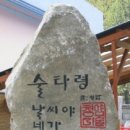 술타령