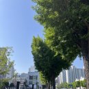 (주)수정스포츠 | [구기동PT, 피티루트] 케틀벨 대회 첫 출전 후기! 2026 케틀벨 스포츠 코리아 선발 대회/ WKSF.