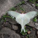 치악산민박 이미지