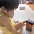 닥터아돌 FeD 유산균 & 바츠 프루토진 유산균 후기｜신생아부터 성장기까지 맞춤 유산균 추천