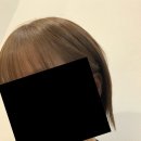 세피아 - 중구 광복로12번길 7-5 | 밀본 셀프염색 발색 후기 | 헬시시나몬 + 프렌치 세피아 애쉬 + 톤컨트롤러 블루