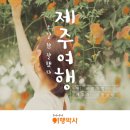 상상제주여행 이미지