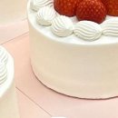 모던이프 이미지