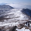 신백사 이미지