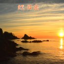 어류도감 이미지