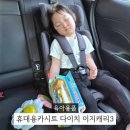 36공감 | 내돈내산 다이치 이지캐리3 휴대용 카시트 36개월 사용 후기
