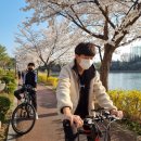 경산자전거오아시스 | 경산 자전거, 삼천리 신교점에서 가족 자전거구입 내돈내산 후기