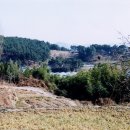 범방동 패총 이미지