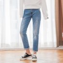 마니아 이미지