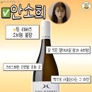 원리스트 이미지