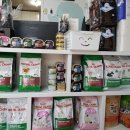 몽쥬르 이미지