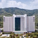 소노펠리체 빌리지 A~D 비발디파크 이미지