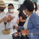 줄포초교 이미지