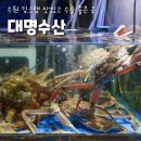대명산소 | [수원/수산동] '대명수산' 수원킹크랩ㅣ수원킹크랩시세ㅣ수원농수산물도매시장