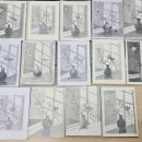 연필화(중급) 이미지