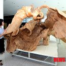 아천 문화관 이미지