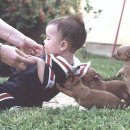 개귀여워 이미지