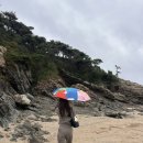 지우농장 이미지