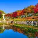 연못에 비친 단풍이 이렇게 특별할 줄이야&#34; 200년 신앙의 흔적 남은 가을 성지 이미지