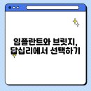 해날치과의원 | 임플란트와 브릿지 선택, 답십리에서 현명하게 결정하는 법