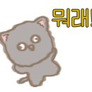 글기획