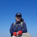 sense치과기공소 네이버블로그