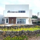 중산간서로 이미지