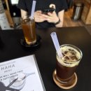 더큐호텔(The Q hotel) | 인도 라다크 레의 자칭(?) 5성급 호텔 Chospa Hotel 2박 후기 (feat. double smashed lamb burger 추천...