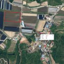 태양약품 이미지