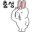 올포카 이미지