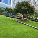 여의샛강도서관 이미지