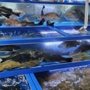 농수산물도매시장 이미지