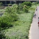 학의천 의왕~안양시계 이미지