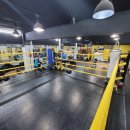 복싱바이러스 송파방이점 이미지