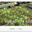 해오름농장 3 이미지