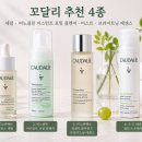 퍼펙트라인 | 꼬달리 비노퍼펙트 라인 후기｜피부톤 밝아지는 루틴 공개 - 갱년기피부관리