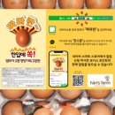 법인초이스팜