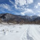 울릉(도동)민박 이미지