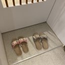 메종 드 캣 이미지