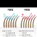 브이아이피미용실