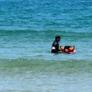 남애서핑클럽 이미지