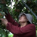 김영복농장 이미지