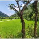 원주 출렁다리민박 이미지