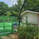 정자공원 이미지