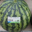 베스트드림마트 이미지